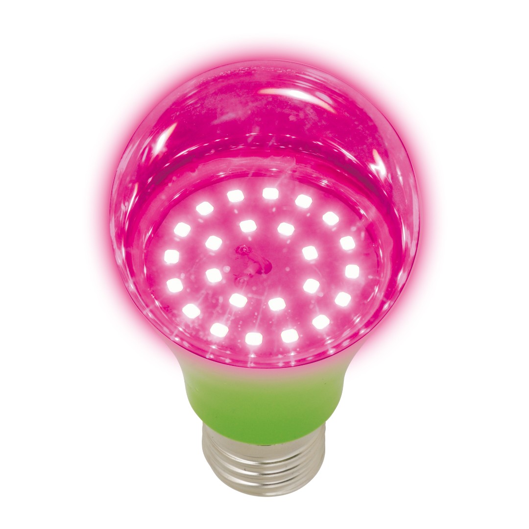 LED-A60-8W/SPSB/E27/CL PLP30GR Лампа светодиодная для растений. Форма A LED-A60-8W/SPSB/E27/CL PLP30GR Лампа светодиодная для растений. Форма A